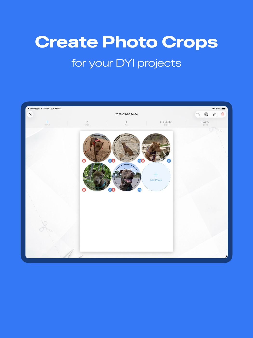 Crop PhotoGraph layout screenshot
